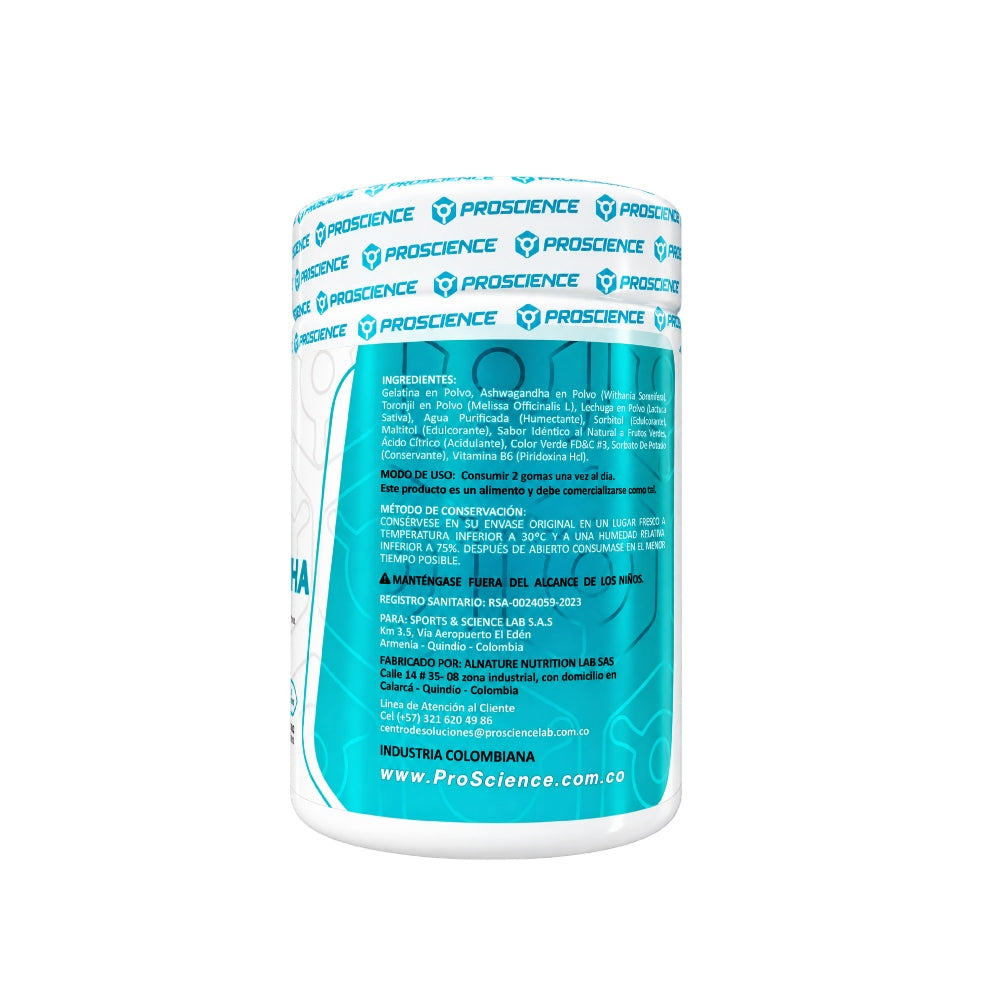 ASHWAGANDHA - 60 GOMAS